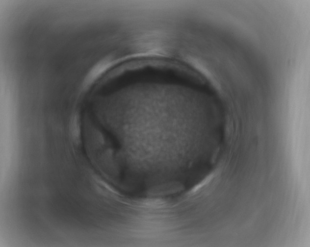 X0000114011455200910091414