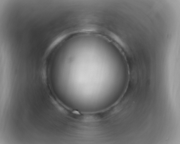 X0000114011456200910091414