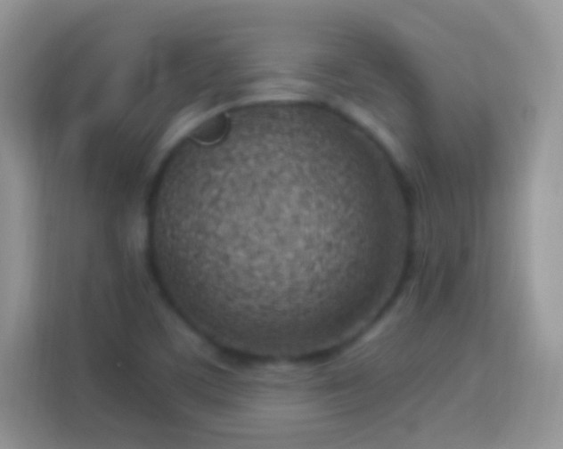 X0000114011459200910091414