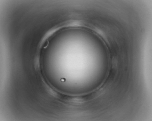 X0000114011464200910091414