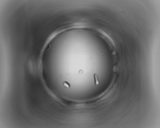 X0000114011467200910091414