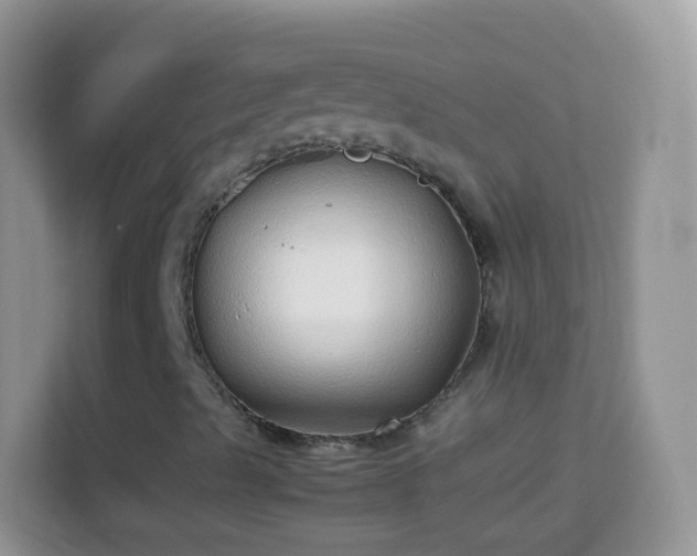 X0000114011489200910091413