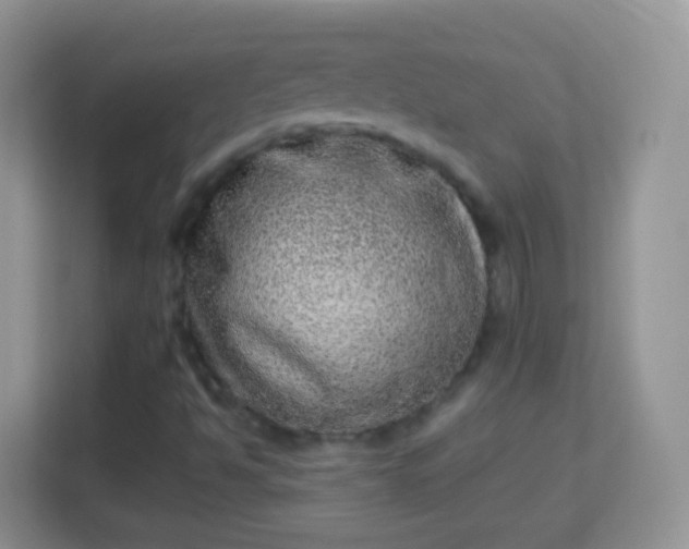 X0000114011494200910091413