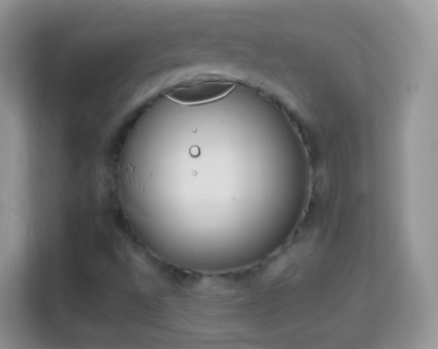 X0000114011496200910091413