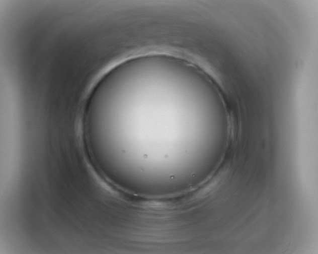 X0000114011500200910091413