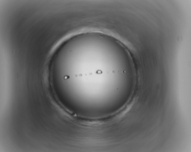 X0000114011502200910091413