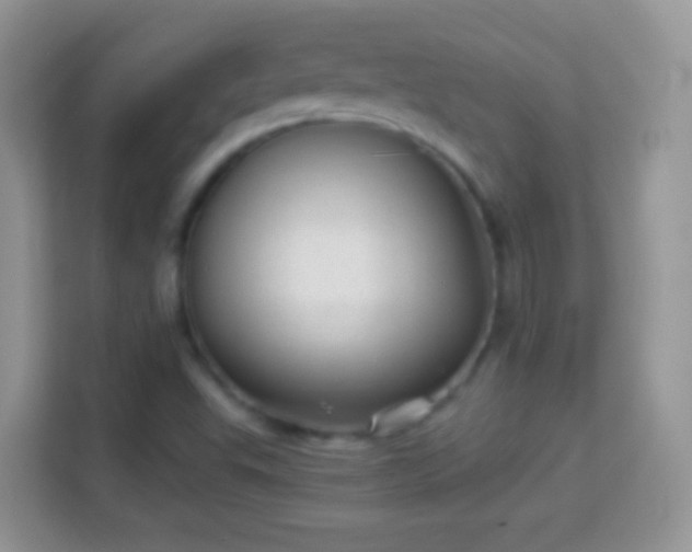 X0000114011503200910091413
