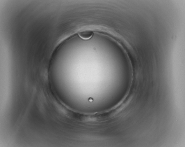 X0000114011505200910091413