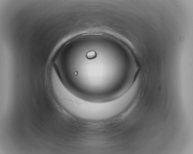X0000114011506200910091413
