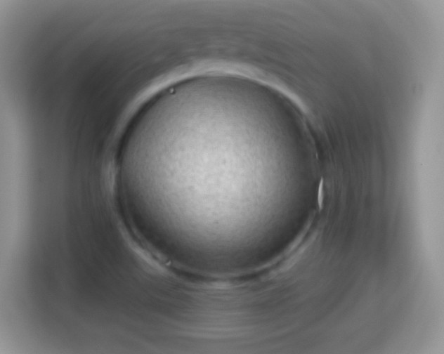X0000114011507200910091413