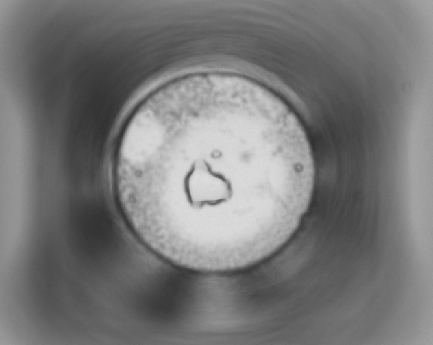 X0000114011514200910091413