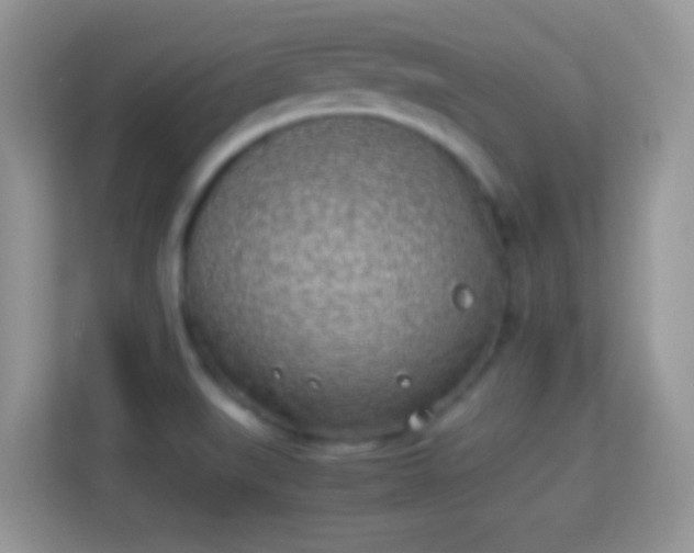 X0000114011519200910091413