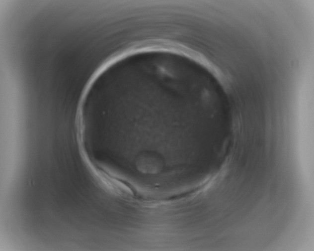X0000114011522200910091413