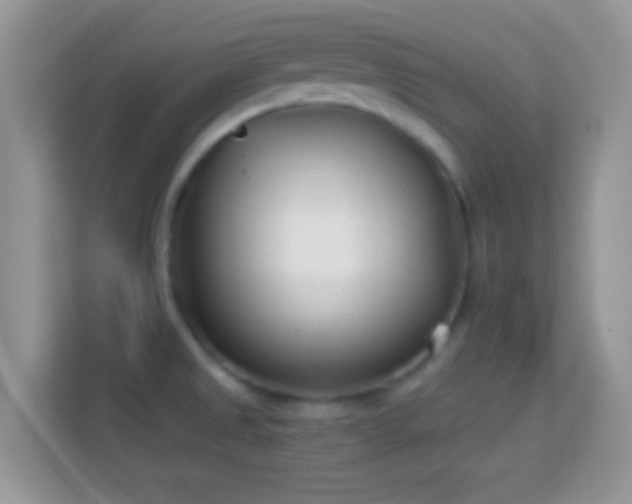 X0000114011525200910091413