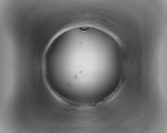 X0000114011526200910091413