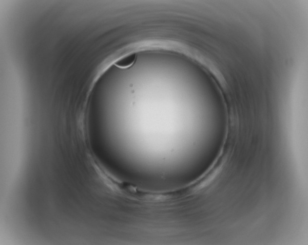 X0000114011529200910091413