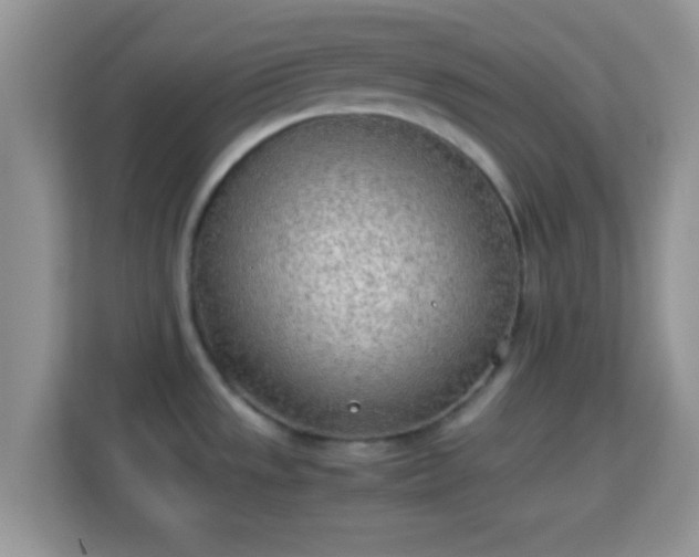 X0000114011533200910091413