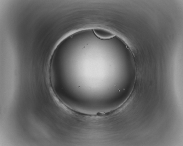 X0000114011534200910091413