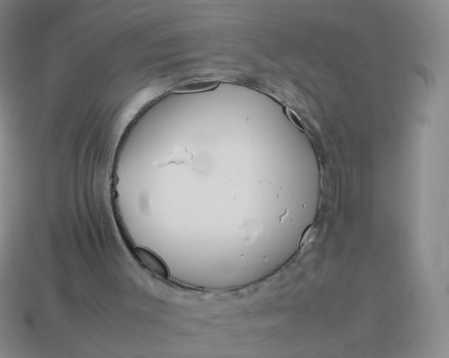 X0000114010003200910161744