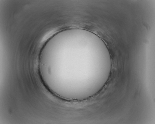 X0000114010005200910161744