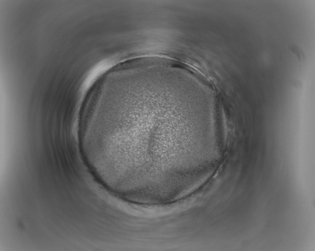 X0000114010006200910161744