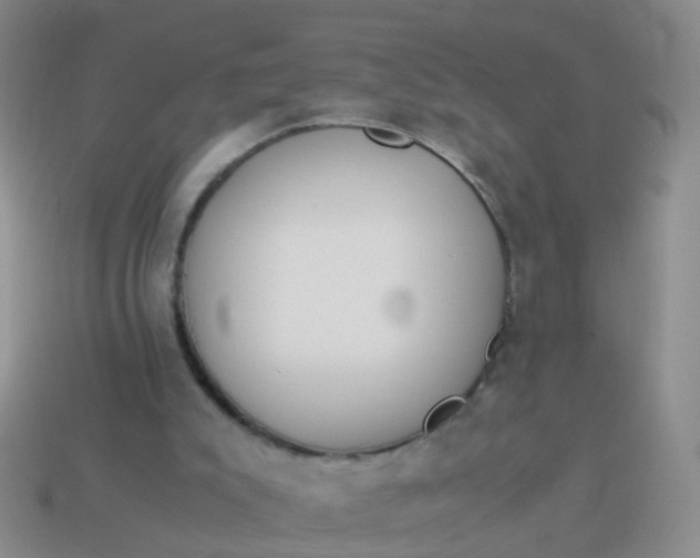 X0000114010007200910161744