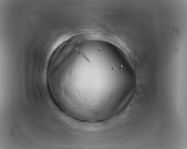 X0000114010008200910161744