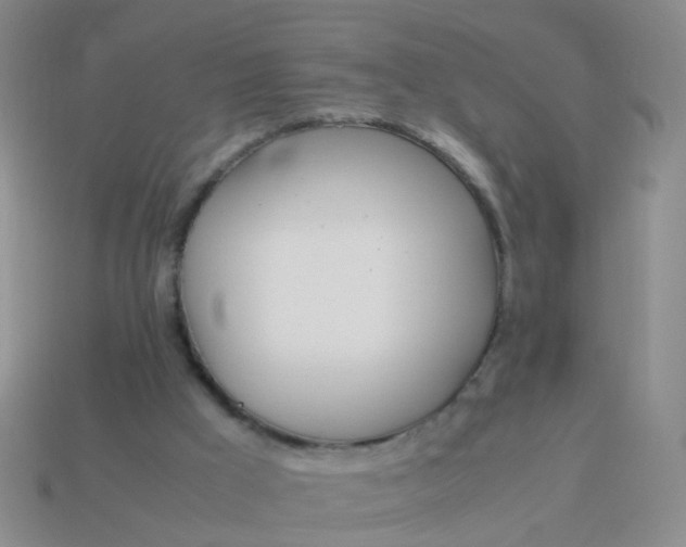 X0000114010009200910161744