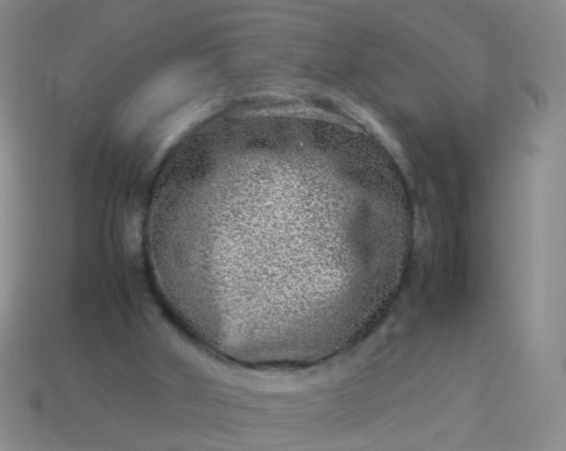 X0000114010010200910161744