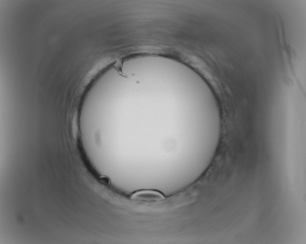 X0000114010011200910161744