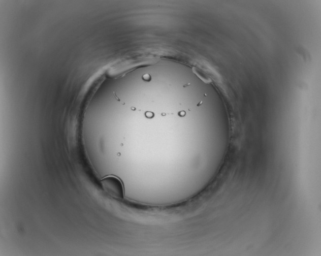 X0000114010012200910161744