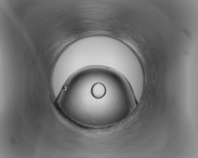 X0000114010013200910161744