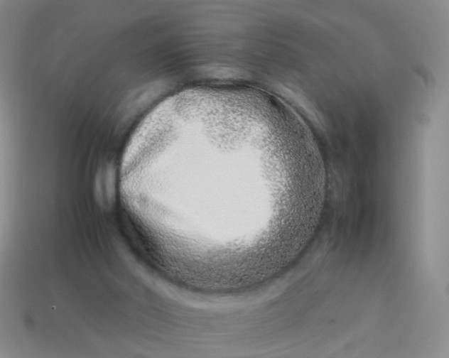 X0000114010014200910161744