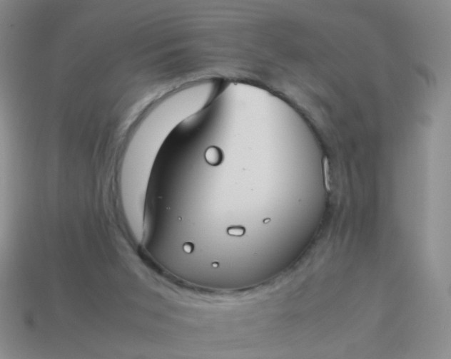 X0000114010015200910161744