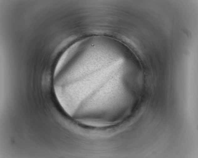 X0000114010016200910161744