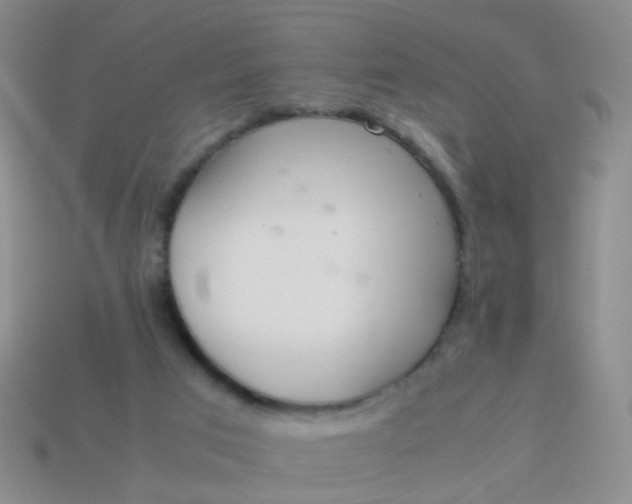 X0000114010017200910161744