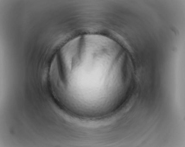 X0000114010018200910161744