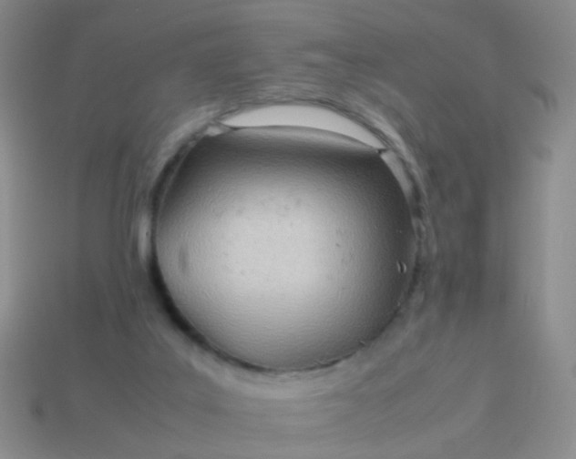 X0000114010019200910161744