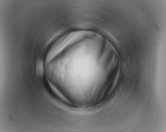 X0000114010020200910161744