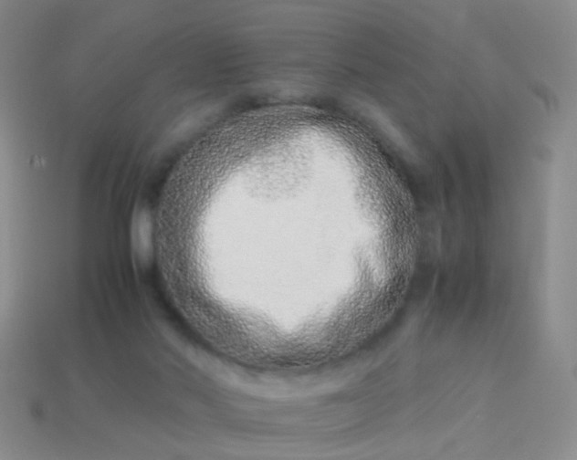 X0000114010022200910161744