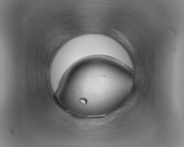 X0000114010025200910161744