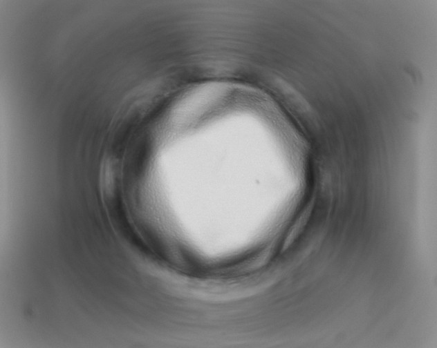 X0000114010026200910161744