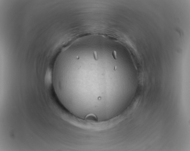 X0000114010027200910161744