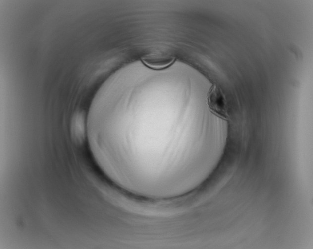 X0000114010028200910161744