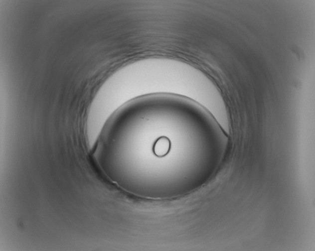 X0000114010029200910161744