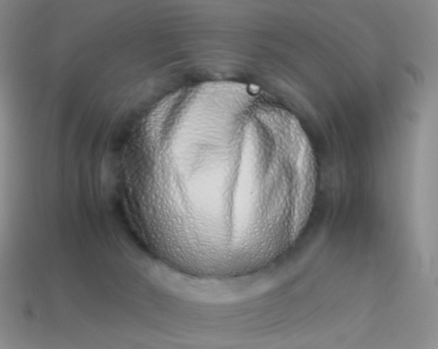 X0000114010030200910161744