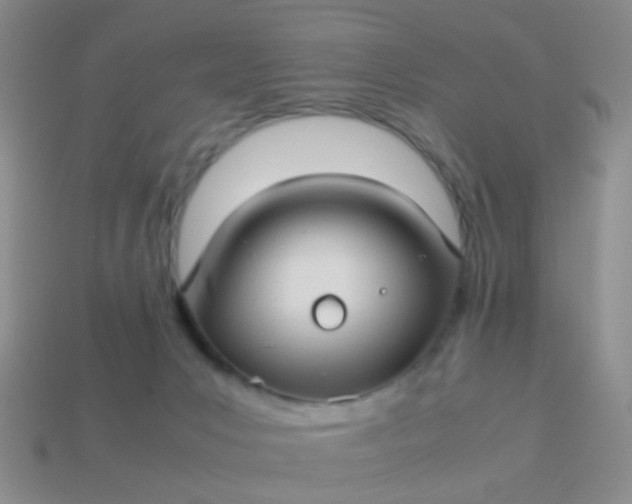 X0000114010031200910161744