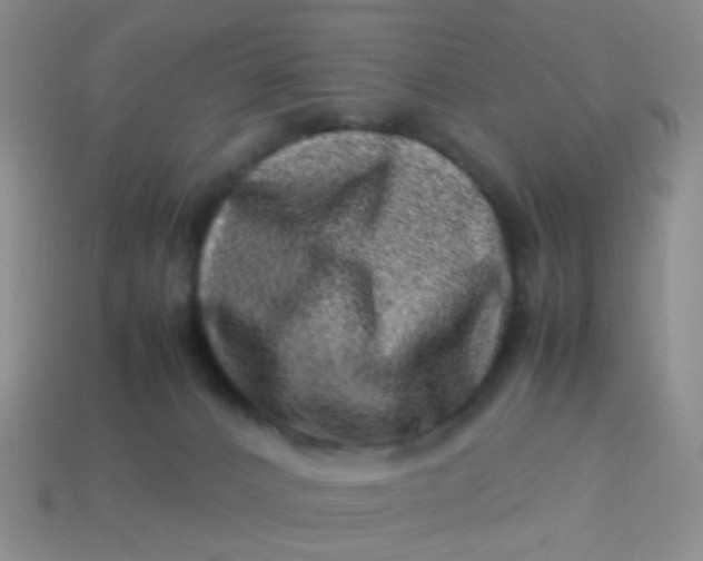 X0000114010032200910161744