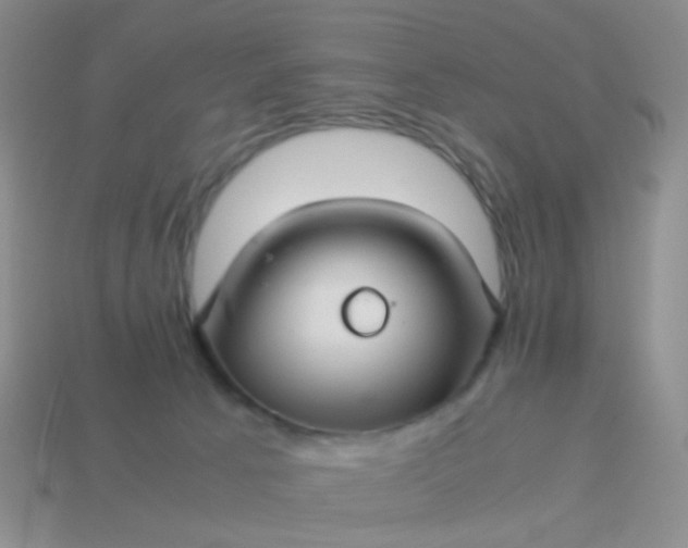 X0000114010033200910161744