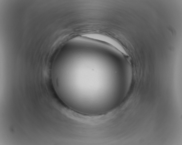 X0000114010035200910161744